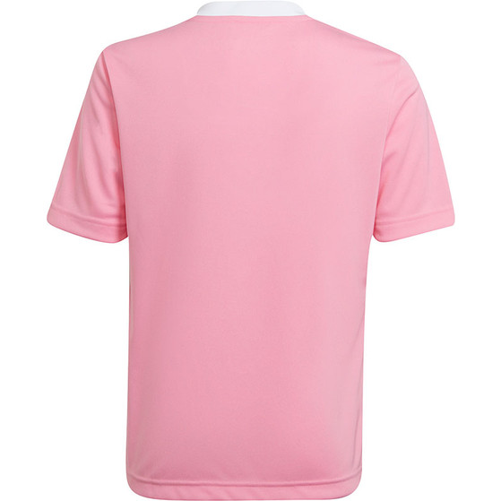 adidas Entrada 22 Träningsset Barn
