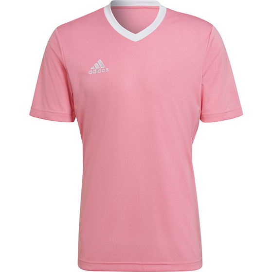 adidas Entrada 22 Träningströja
