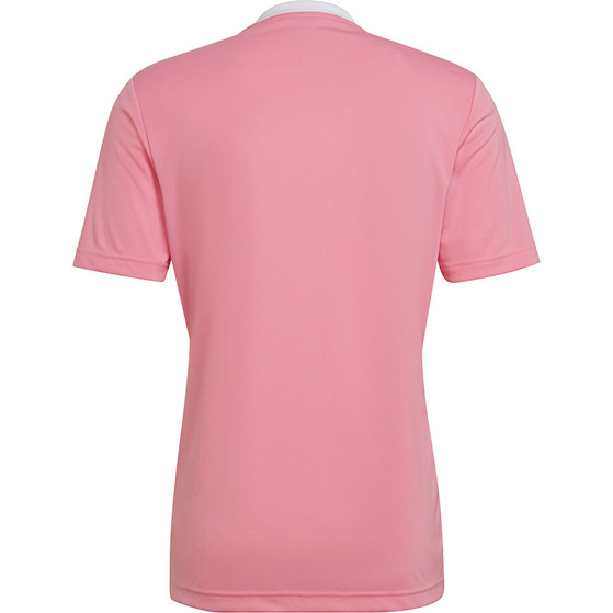 adidas Entrada 22 Träningströja