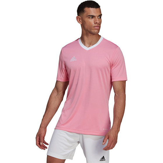 adidas Entrada 22 Träningströja