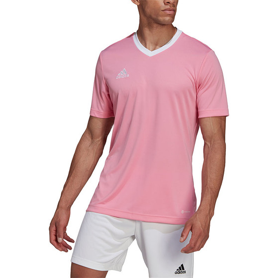 adidas Entrada 22 Träningströja