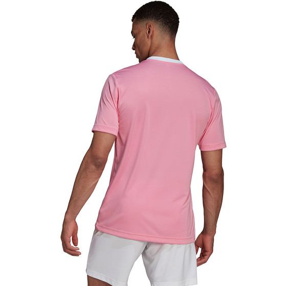 adidas Entrada 22 Träningströja