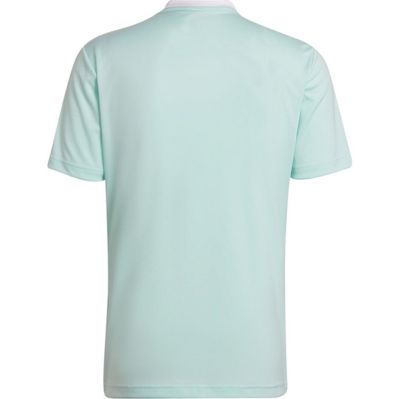 adidas Entrada 22 Träningströja