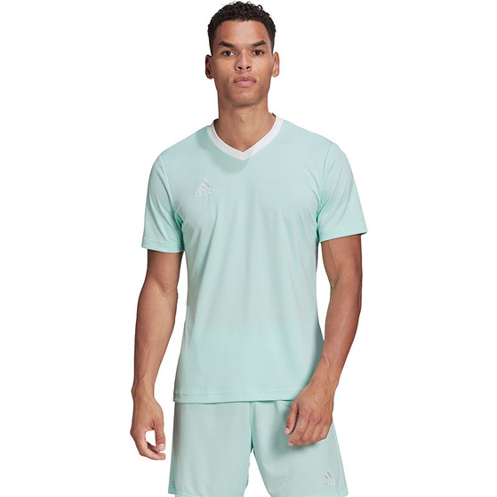 adidas Entrada 22 Träningströja