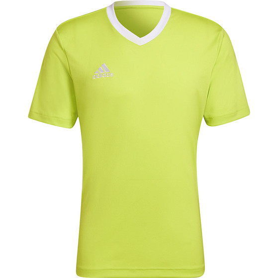 adidas Entrada 22 Träningströja