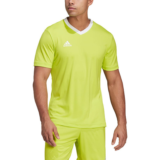 adidas Entrada 22 Träningströja