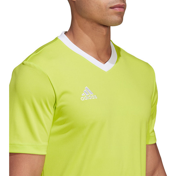 adidas Entrada 22 Träningströja