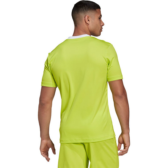 adidas Entrada 22 Träningsset
