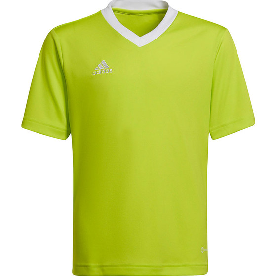 adidas Entrada 22 Trainingsshirt Kinder