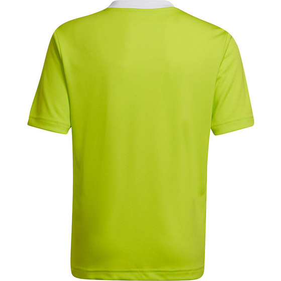 adidas Entrada 22 Trainingsshirt Kinder