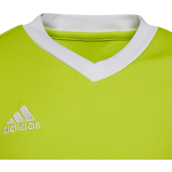 adidas Entrada 22 Trainingsshirt Kinder