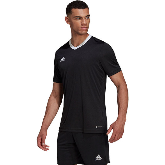 adidas Entrada 22 Träningströja