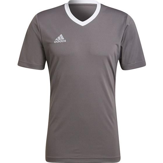adidas Entrada 22 Träningströja