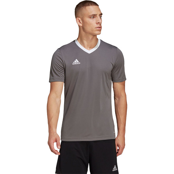 adidas Entrada 22 Träningströja