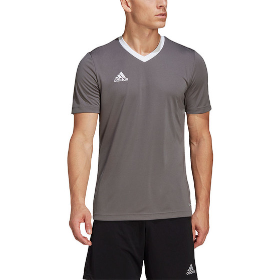 adidas Entrada 22 Träningströja