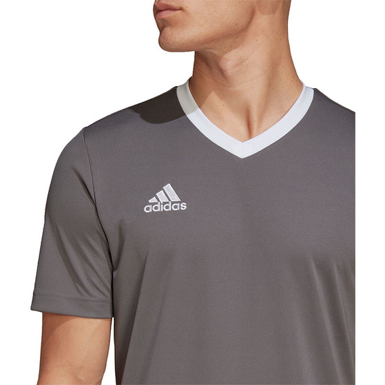 adidas Entrada 22 Träningströja