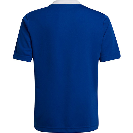adidas Entrada 22 Trainingsset Kids