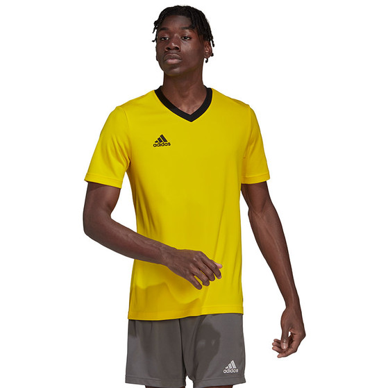 adidas Entrada 22 Träningströja