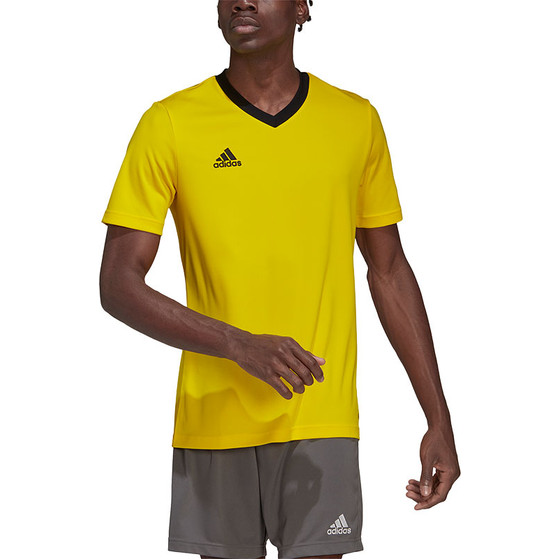 adidas Entrada 22 Träningströja