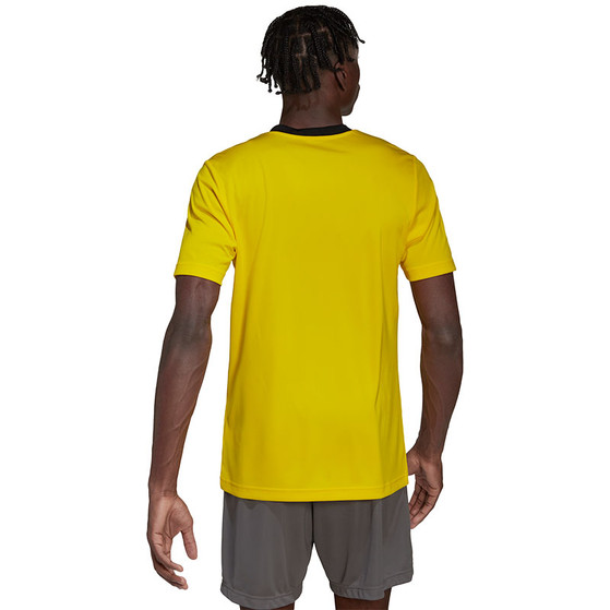 adidas Entrada 22 Träningströja