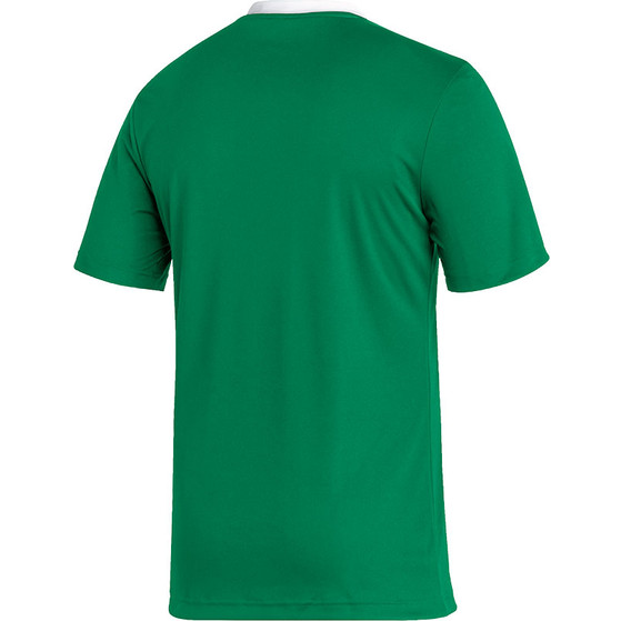 adidas Entrada 22 Training Shirt