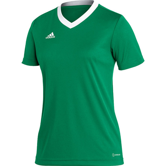 Adidas longsleeve dames groen new arrivals