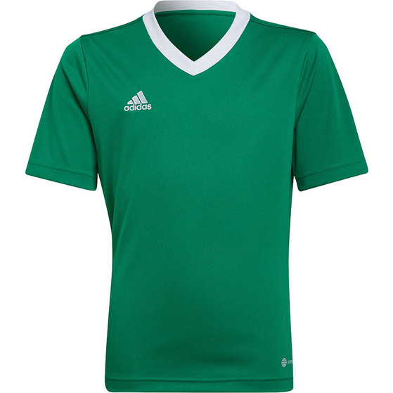 adidas Entrada 22 Träningströja Barn