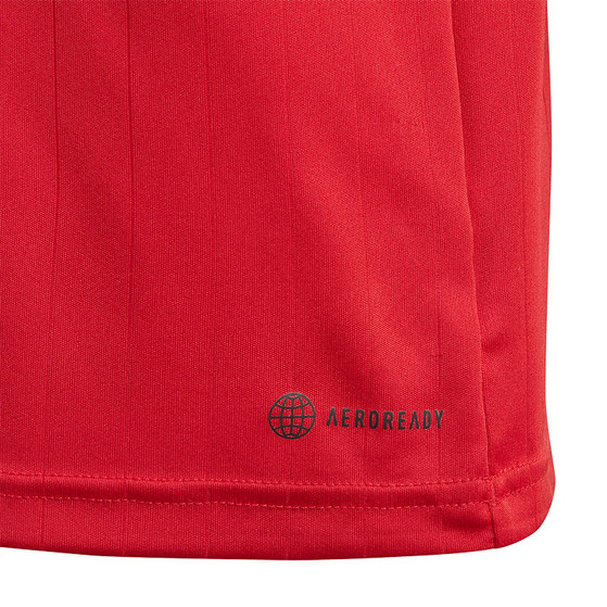 adidas Manchester United Thuis Tenue Little Kids