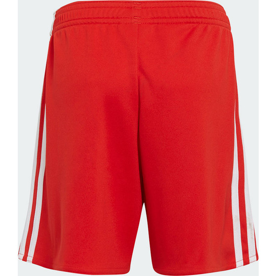 adidas Bayern München Thuis Tenue Little Kids