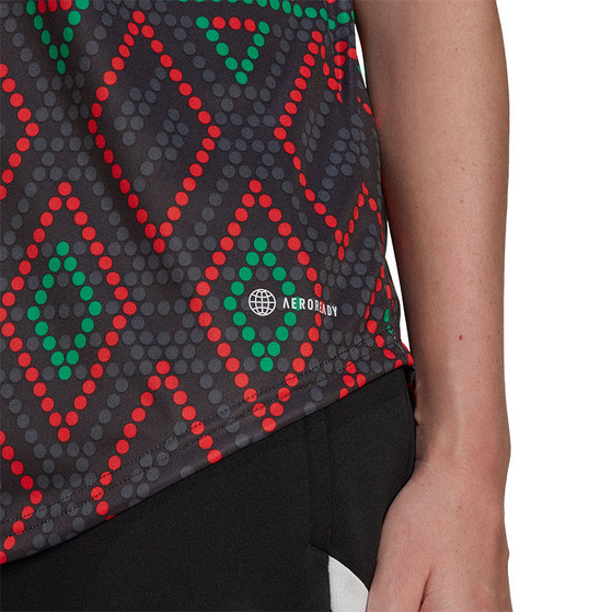 adidas Ajax Pre-Match Shirt Dames 2022/2023