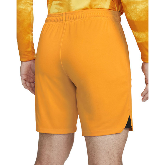 Nike Nederland Thuis Tenue