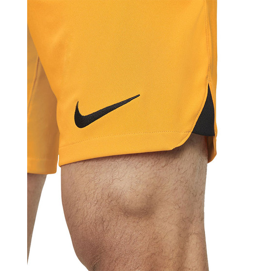Nike Nederland Thuis Tenue