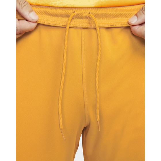 Nike Nederland Thuis Tenue