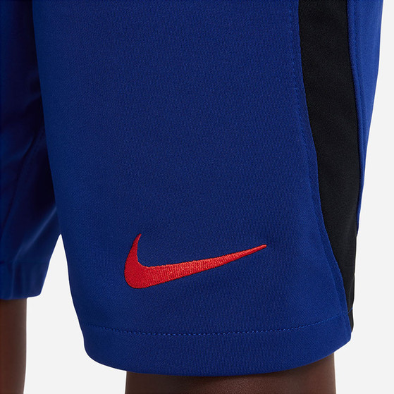 Nike Nederland Uit Tenue Kids