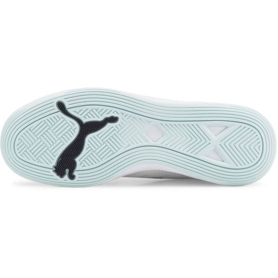Puma Accelerate Pro II
