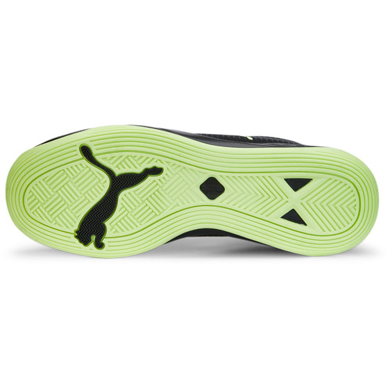 Puma Accelerate Pro II