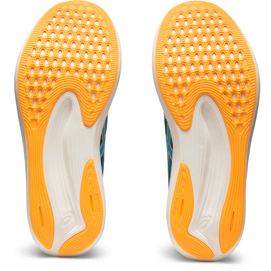 ASICS Evoride Speed Heren