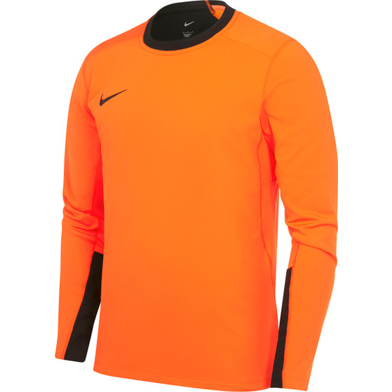 Nike Team Handball Court Goalkeeper Shirt Heren