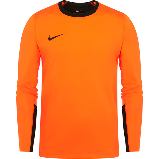 Nike Team Handball Court Goalkeeper Shirt Heren