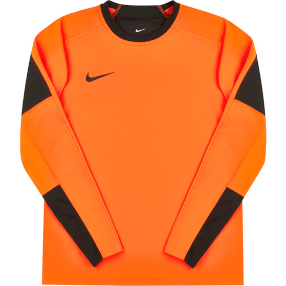 Nike Team Handball Court Goalkeeper Shirt Heren