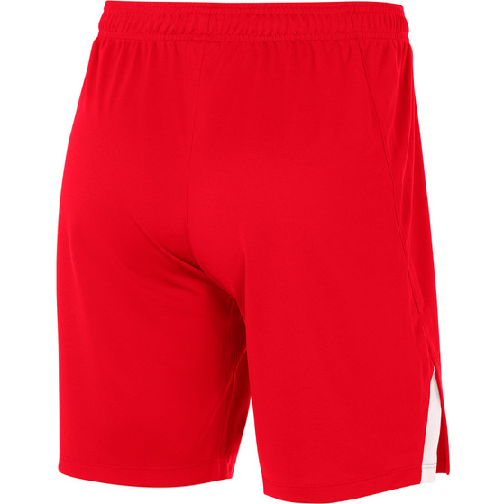 Nike Team Volleyball Spike Short Herren
