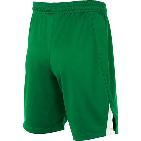 Nike Team Volleyball Spike Short Kinder
