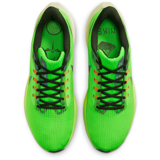 Nike Pegasus 39 Heren