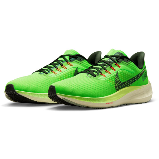 Nike Pegasus 39 Heren