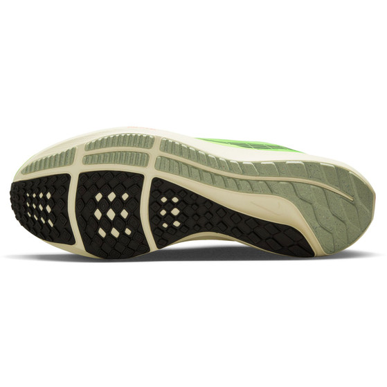Nike Pegasus 39 Heren