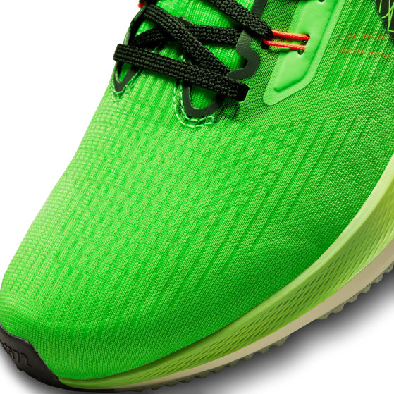 Nike Pegasus 39 Heren