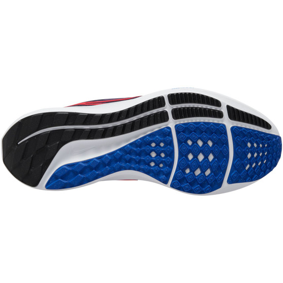 Nike Pegasus 39 Dames