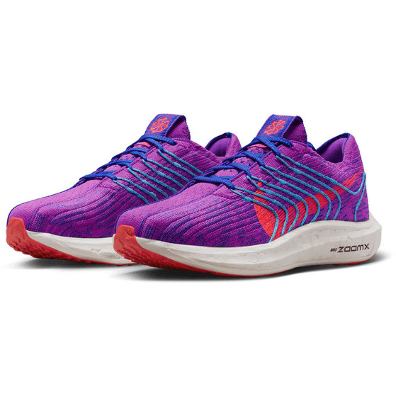 Nike Pegasus Turbo Next Nature Dames