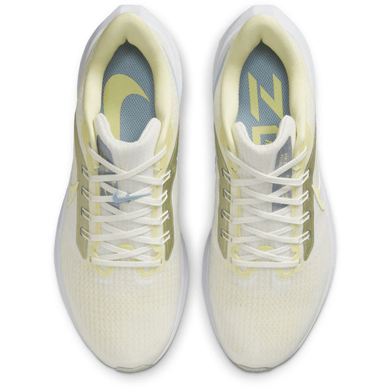 Nike Pegasus 39 Damen