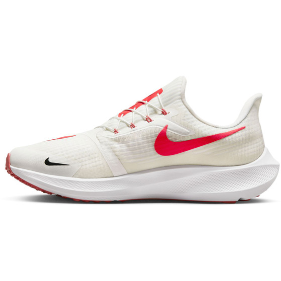 Nike Pegasus Flyease Herren
